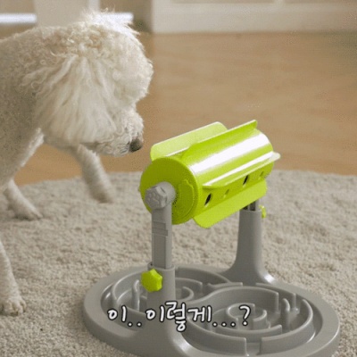 빙그르 강아지 노즈워크 장난감