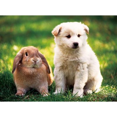 150피스 직소퍼즐 - 토끼와 강아지