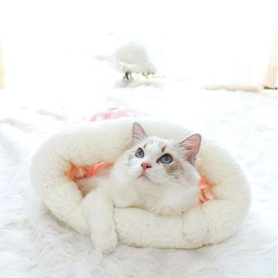 고양이 겨울 주머니 동물 하우스 휴식 공간 숨숨집