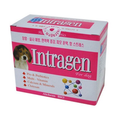 인트라젠 30P 애견 강아지영양제