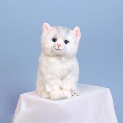 위더펫 리얼 고양이 인형 페르시안 친칠라-화이트
