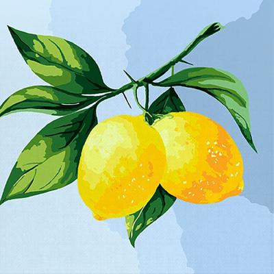레몬 (캔버스) DIY명화그리기 25x25