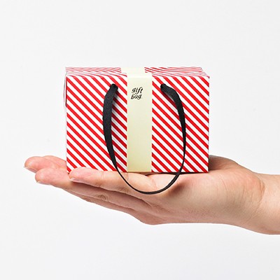 PLUSBOX GIFT BAG (Red stripes-mini) (쇼핑백/포장박스)