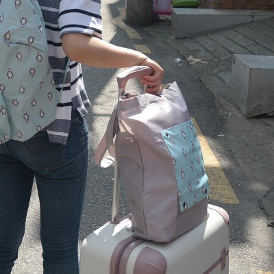 핑크풋 여행용 접이식 보조가방