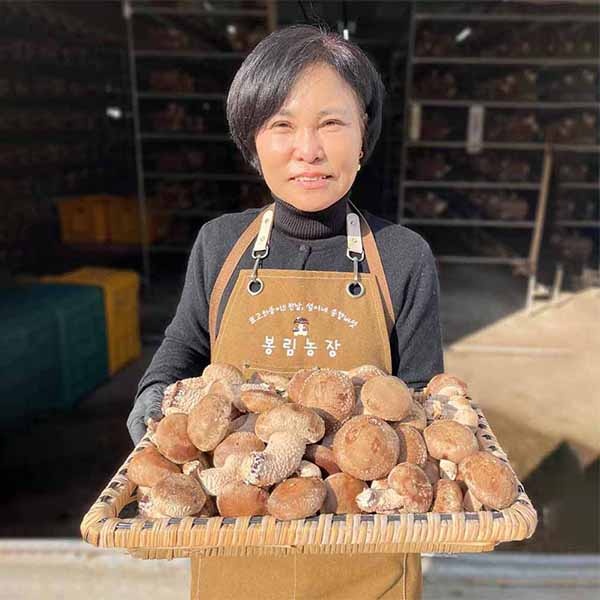 공주 산지직송 국내산 송향 버섯 고급형 500g 1kg