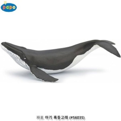 유아 동물모형완구 바다 동물 아기 혹등고래 피규어
