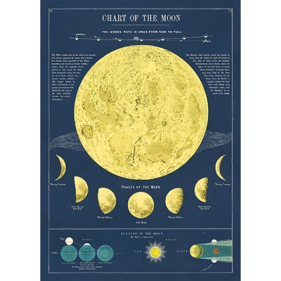 카발리니 포스터-Moon Chart
