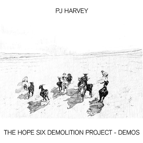 THE HOPE SIX DEMOLITION PROJECT - DEMOS