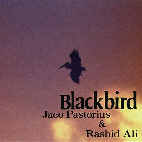 BLACKBIRDS [REMASTERED]