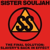 Sister Souljah / The Final Solution: Slavery's Back In Effect (수입/Single)