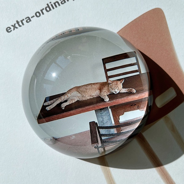 마이시리즈 고양이 유리 문진 오브제 페이퍼웨이트 