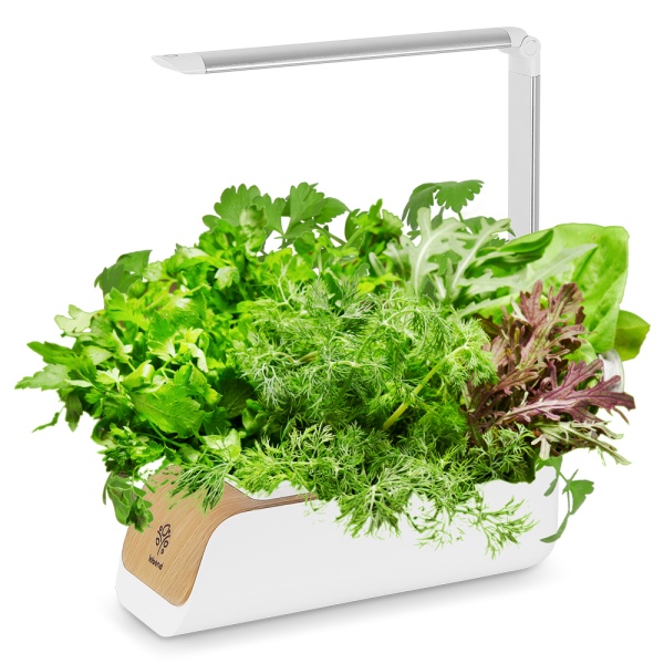 가정용 LED 채소 식물 재배기 / 친환경 CYPP310