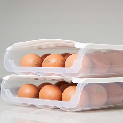 계란트레이 수납 보관함 계란보관용기 에그트레이 - Hottracks